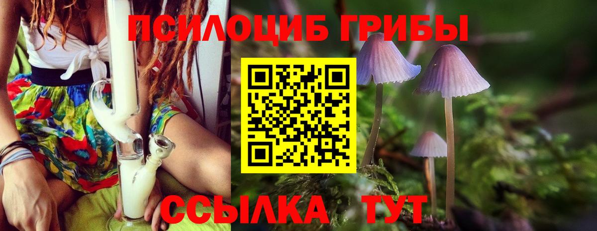 Галлюциногенные грибы прущие грибы Выборг